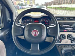 FIAT Panda usata 39