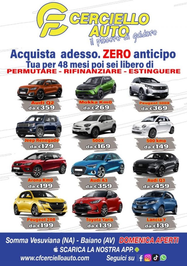PEUGEOT 206 usata 24