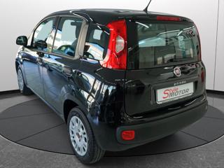 FIAT Panda usata, con Airbag Passeggero