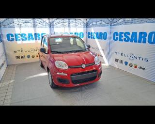 FIAT New Panda 1.0 firefly hybrid s&s 70cv