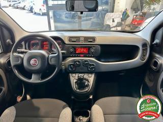FIAT Panda usata, con Controllo trazione