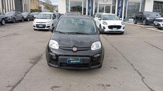 FIAT Panda usata, con Airbag