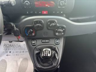 FIAT Panda usata 14
