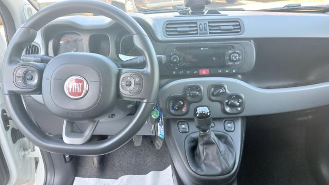 FIAT Panda usata, con Cronologia tagliandi