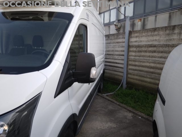 FORD Transit usata 2