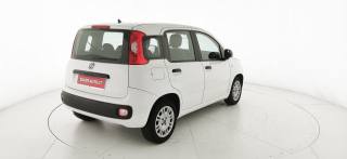 FIAT Panda usata 16