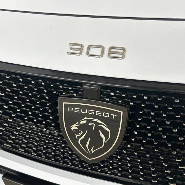 PEUGEOT 308 usata, con Specchietti laterali elettrici