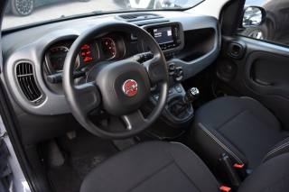 FIAT Panda usata, con Antifurto