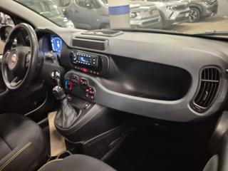 FIAT Panda usata, con Cruise Control