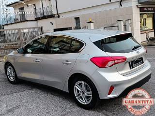 FORD Focus usata, con Riconoscimento dei segnali stradali