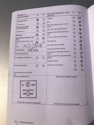 VOLKSWAGEN Polo usata 17
