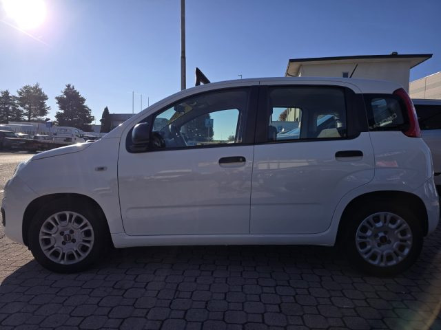 FIAT Panda usata, con ESP