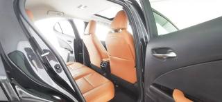 LEXUS UX 250h usata, con Limitatore di velocità