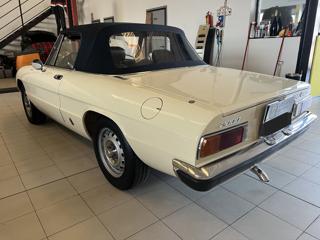 ALFA ROMEO Spider usata 5