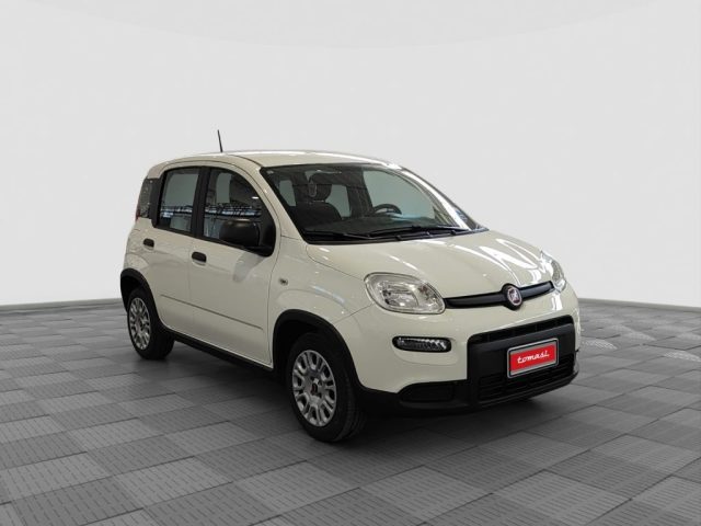 FIAT Panda usata 6