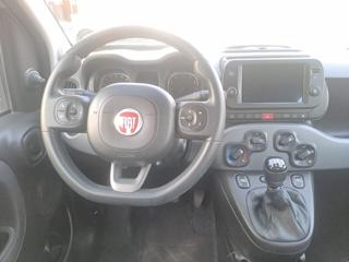 FIAT Panda usata, con Fendinebbia