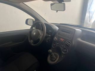 FIAT Panda usata 3