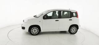 FIAT Panda usata 27
