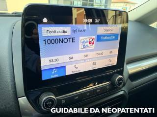 FORD EcoSport usata, con Controllo trazione