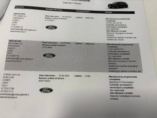 FORD Focus usata, con Bracciolo