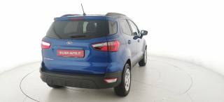 FORD EcoSport usata, con Airbag testa