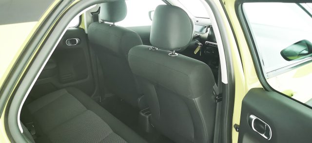 CITROEN C4 Cactus usata 50