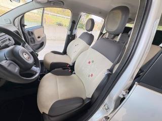 FIAT Panda usata 37