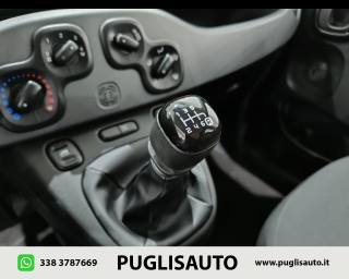 FIAT Panda Cross usata, con Fendinebbia