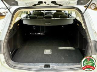 FORD Focus usata, con Vetri oscurati