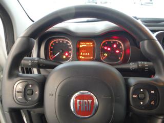 FIAT Panda usata, con Servosterzo