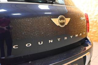 MINI Countryman usata 19