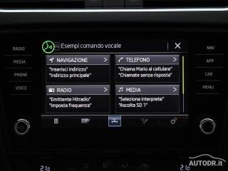 SKODA Octavia usata, con Airbag testa