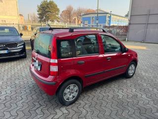 FIAT Panda usata, con Alzacristalli elettrici