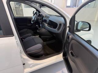 FIAT Panda usata 13