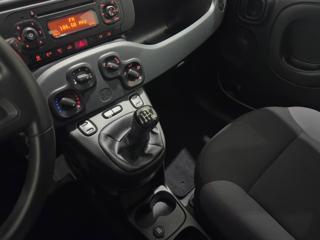 FIAT Panda usata, con Fendinebbia