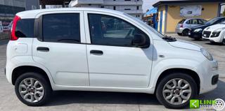 FIAT Panda usata, con Chiusura centralizzata