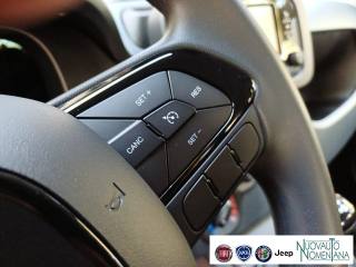 FIAT Panda usata, con Volante multifunzione