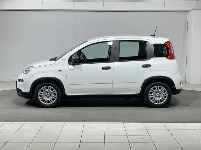 FIAT Panda usata, con Airbag