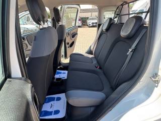 FIAT New Panda usata, con Immobilizzatore elettronico