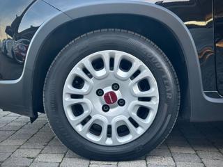 FIAT Panda usata, con Immobilizzatore elettronico
