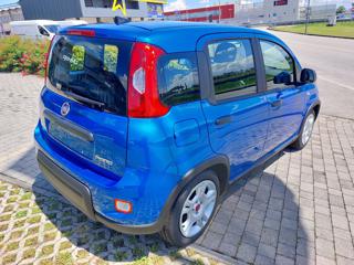 FIAT Panda usata, con Airbag Passeggero