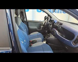 FIAT New Panda usata 17
