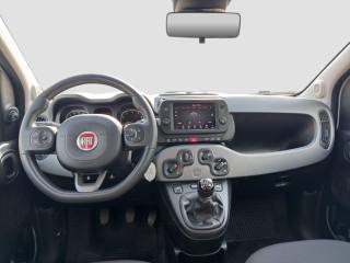 FIAT Panda usata 11