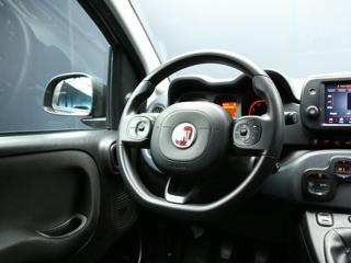FIAT Panda Cross usata, con Immobilizzatore elettronico
