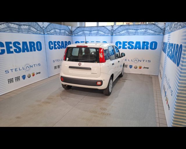 FIAT Panda usata, con Airbag Passeggero