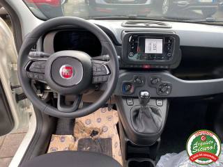 FIAT Panda usata, con Immobilizzatore elettronico