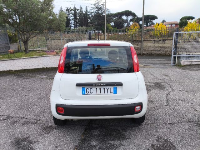 FIAT Panda usata 4