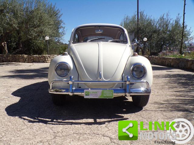 VOLKSWAGEN Maggiolino usata 1