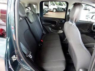 FIAT Panda Cross usata, con Climatizzatore