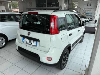 FIAT Panda usata, con Controllo trazione